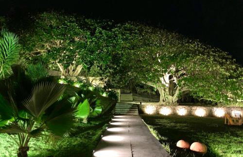 Casa da Gameleira - Foto 21