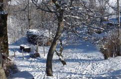 LA CASETTA DELLA NONNA - Photo 57