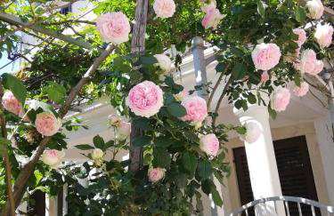 Apartments Renata - Brseč - Foto 51