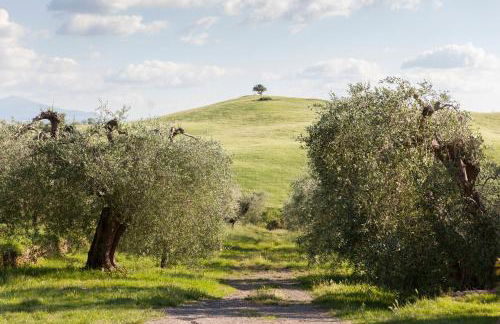 Podere Spedalone - Foto 33