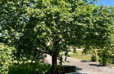 Aμvrosia Petalidi Square - Free WiFi, Smart TV, 2' λεπτά από την παραλία - Foto 5