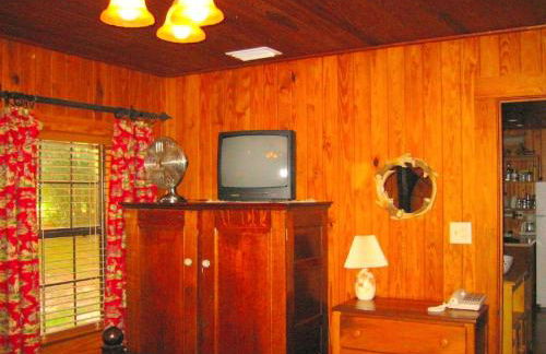 Lakefront Weekend Getaway with a Private Dock near the Ocala National Forest, Florida - Foto 9