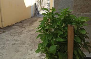 Μπαλκόνι του Αιγαίου father's house in Kimi - Photo 24