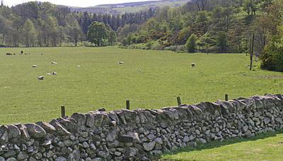 Kilpatrick Farm House - Foto 3