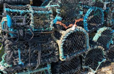 Sea Shore Lodge Mudeford - Foto 21