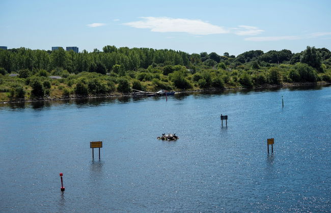 Sanders Pier - Cozy 3 Bdr Townhouse With Terrace - Foto 20