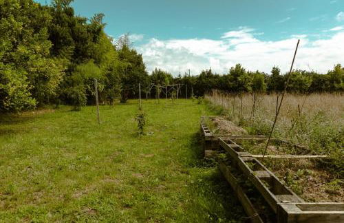 La casa de los árboles - Foto 25