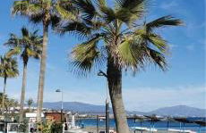 Lovely apartment in Casares Beach - Photo 30