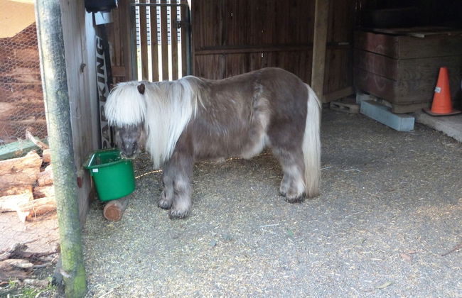 Bells Estate Great Ocean Road Cottages - Foto 36