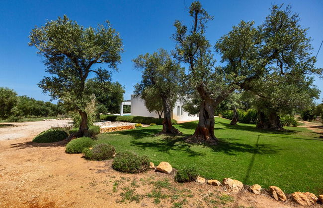 Villa Zena - Foto 35