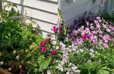 Leysdown Beach Escape - Foto 7