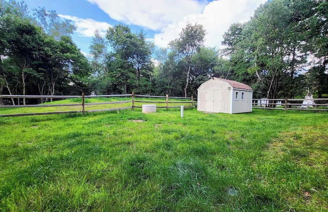 Hidden Bear by Avantstay A+ Central Location - Foto 25