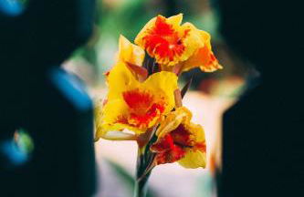 Hotel Rural La Casa Amarilla - Foto 25