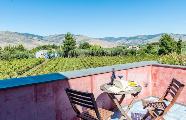 Terrazze dell'Etna - Rooms & Apartments - Foto 40