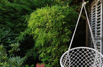 Chambre d'hôtes cosy Le Chalet -Tarn - Foto 39