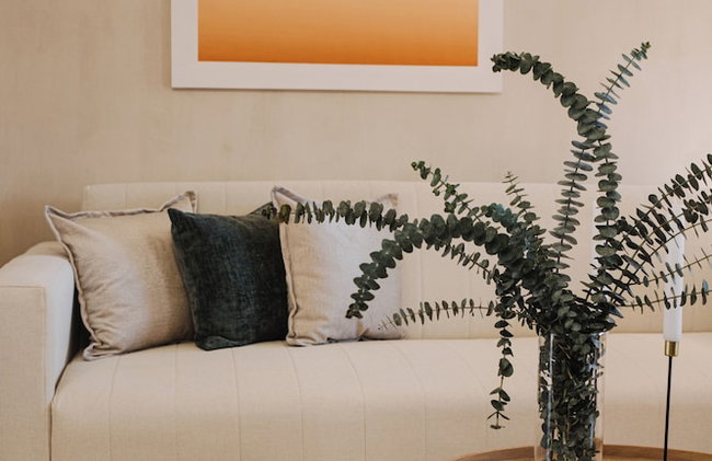 Casa Los Curazaos - Foto 16