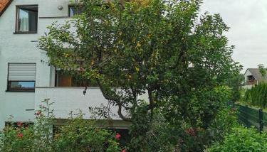 Ferienwohnung Schönberg - Foto 4