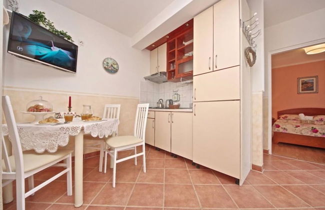 Dino - Gorgeous Garden - SA1 Zavala - Photo 6