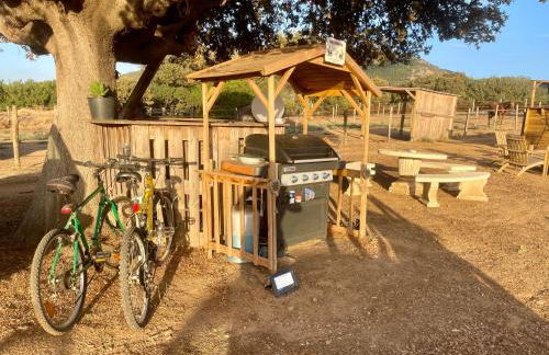 Les Chalets de Tesa - Foto 32