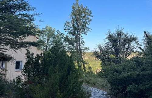 Maison 3ch - Parc Naturel du Verdon - Foto 19