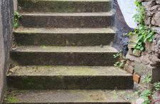 The Ugly Duckling - Photo 7