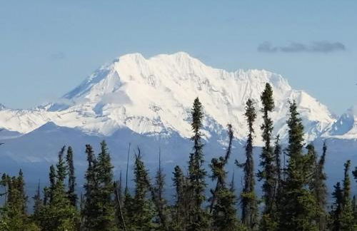 Denali Wild Stay - Redfox Cabin, Free Wifi, private, sleep 6 - Foto 26