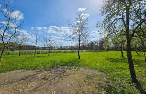 Die alte Waldkate - Windschief und mitten in der Natur - Foto 25