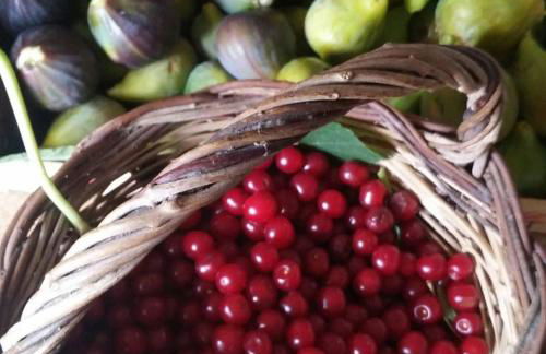 Masseria Celano - Foto 59