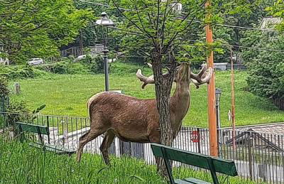 Casa Vacanze Domus Angela - Foto 13