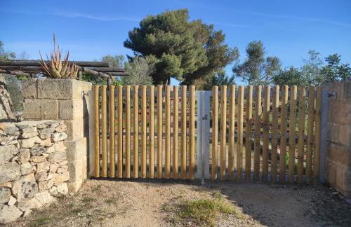 Trullo Contrada Specchi - Foto 10