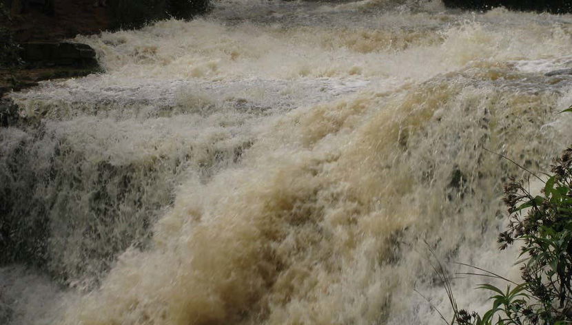 Senderismo por el Parque Ecológico La Periquera - Foto 3