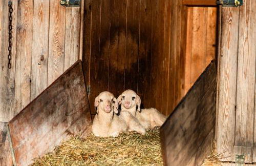 Wassererlehen - Foto 14