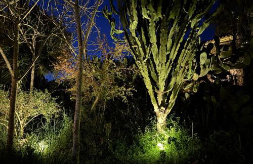 Ses Cases d'Alcudiola - Foto 71