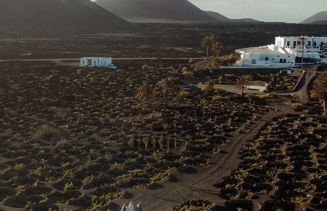 Visita alla cantina Vega de Yuco Testeina - Foto 1