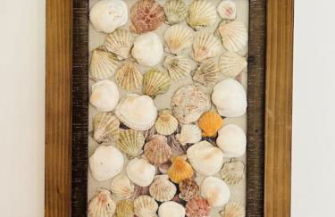 House of Shells, beautiful garden, fenced yard, dog friendly, fire pit! - Foto 6