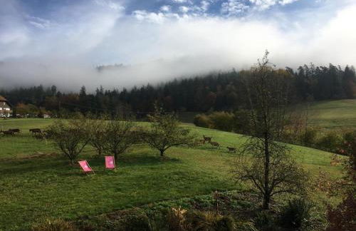 SchwarzWild - Ferienwohnung und Ferienzimmer - Foto 30