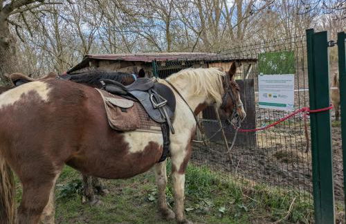 Ferme Pédagogique Bordeneuve - Foto 55
