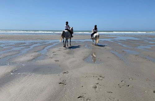 La villa dans les pins - Photo 36