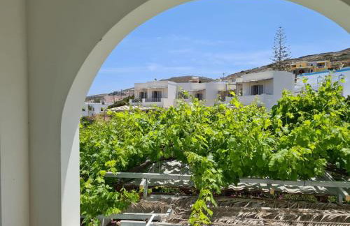 Villa Katerina Apartments - Foto 24