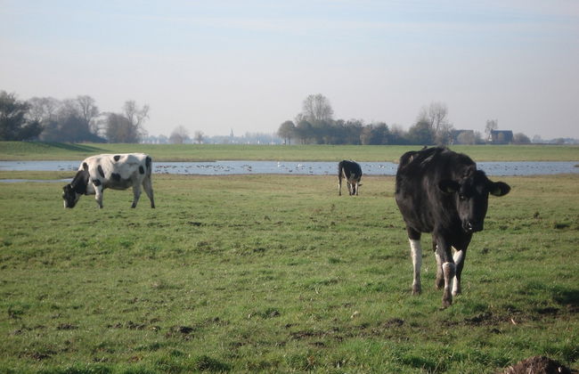 Idyllic Rural Home With Bikes - Foto 23