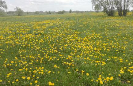 Dom w spokojnej okolicy - Foto 27