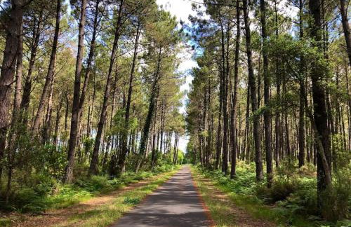 BEACH HOUSE DE CHARME A MESSANGES. LA MAISON BLEUE - Photo 33