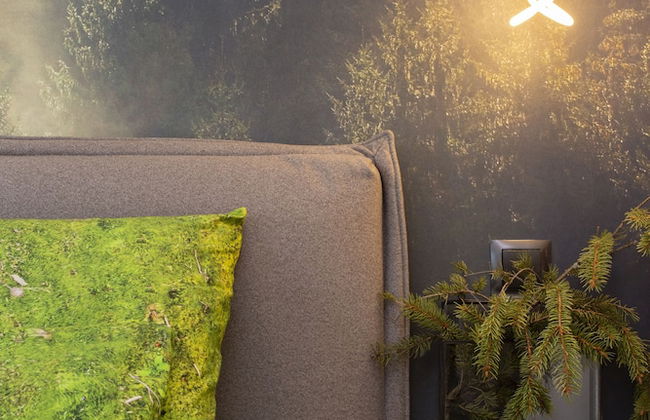 Green Deer Premium - Foto 64