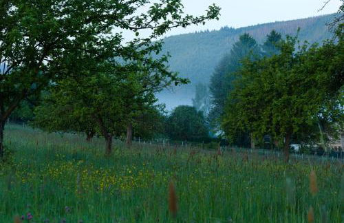 Ferienwohnung Reinette - Photo 4