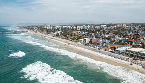 The Shining Sea Crab - Foto 5