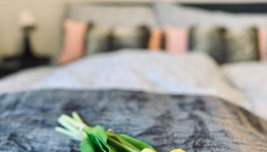 Schönes 2 Zimmer Apartment, ruhig und gemütlich - Foto 2