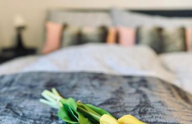 Schönes 2 Zimmer Apartment, ruhig und gemütlich - Foto 2