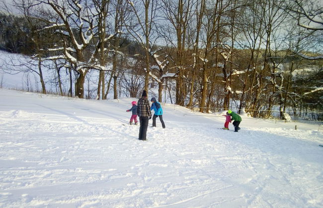 Garden & Pets Escape - Photo 31