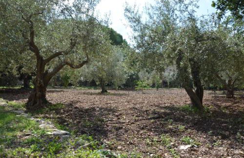 Villa Alchea Locazione Turistica - Foto 7