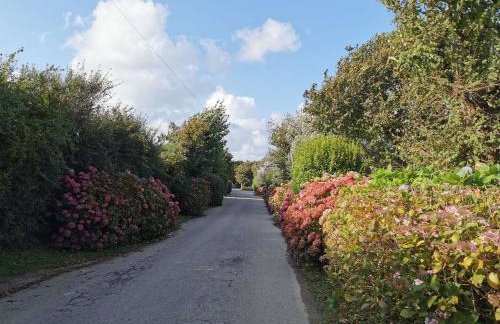 Shamrocks Cove Caravan - Award-Winning Coastal Retreat - Foto 28